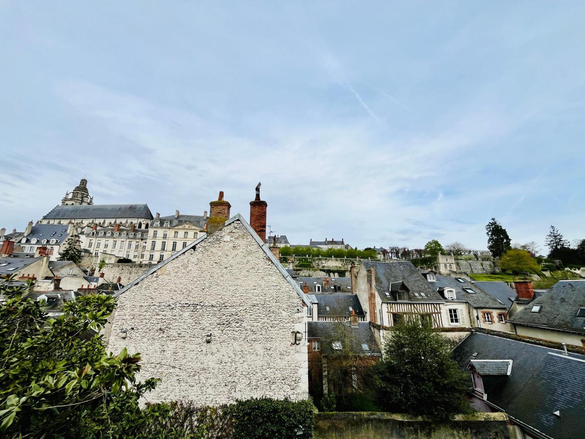 Ferienwohnung Vue Loire, Hypercentre, Spacieux, Familial, Climatise, Le Quai De Loire Blois Exterior foto